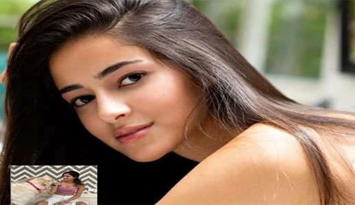 अनन्या पांडे ने कुछ यूं बिताया संडे, डॉगी के साथ की ढेर सारी मस्ती, फैंस बोले मैडम हम तो बस . . .