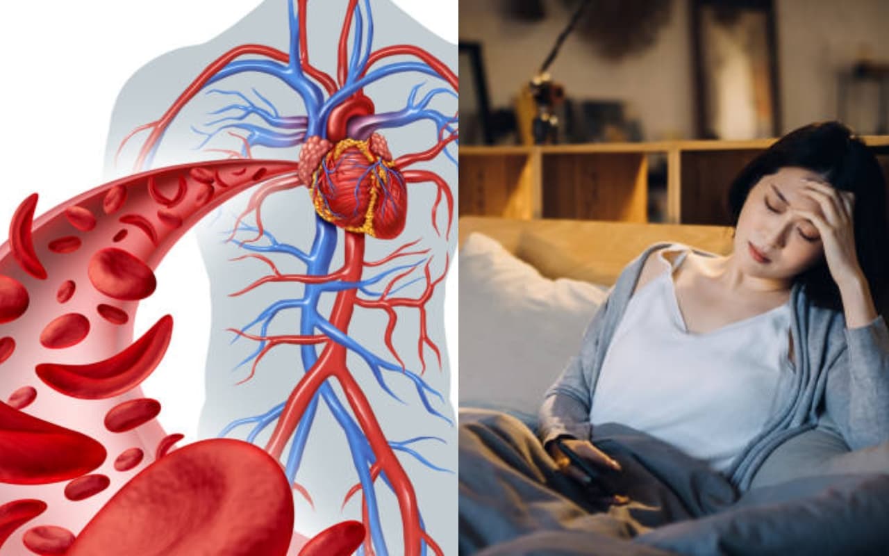 Health Care : क्या दिन भर थकान से हैं परेशान, आयरन की कमी के हो सकते हैं संकेत