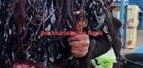 Jharkhand News : झाड़-फूंक करने वाले ओझा की हत्या, कुल्हाड़ी से मार कर लाश जंगल की झाड़ी में छिपाया