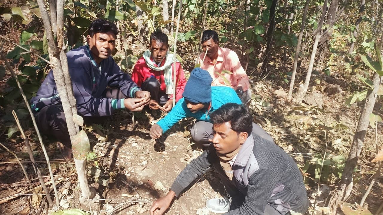 झारखंड के केदला जंगल में शेर ! आधा दर्जन मवेशियों की मौत से दहशत, डर से जंगल नहीं जा रहे ग्रामीण
