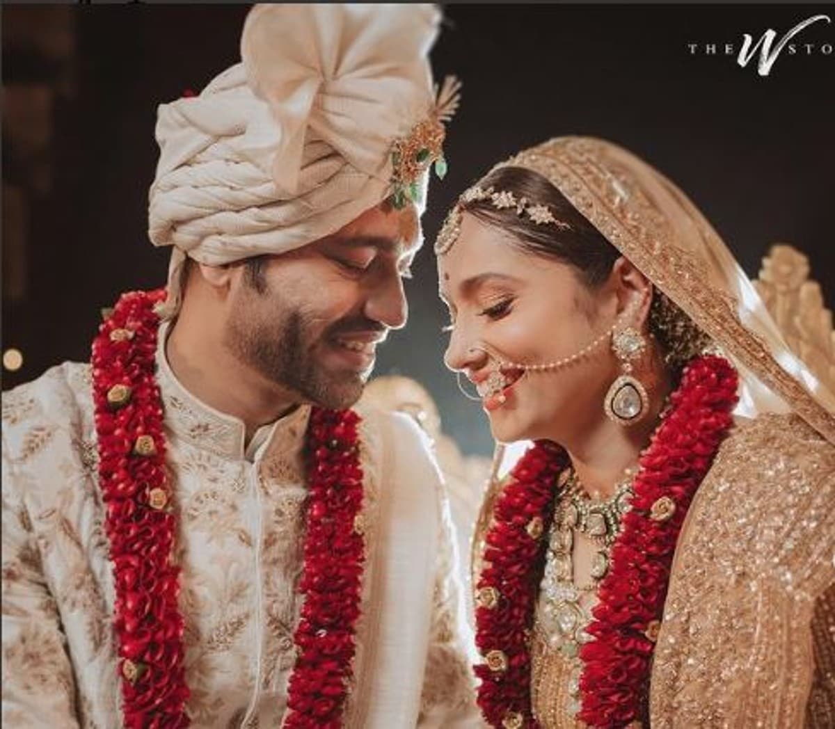 विक्की जैन ने अंकिता लोखंडे को गिफ्ट किया मालदीव में लग्जरी विला, जानिए कीमत