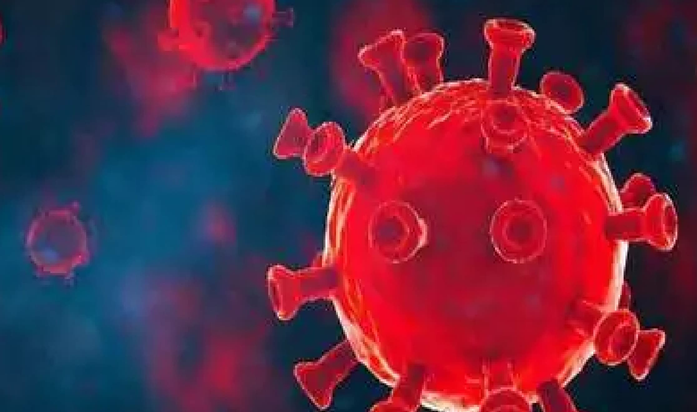 वैक्सीन लिये बगैर इस व्यक्ति में है सुपर एंटीबॉडी, कोरोना के नये स्ट्रैन को भी आसानी से दे सकता है मात