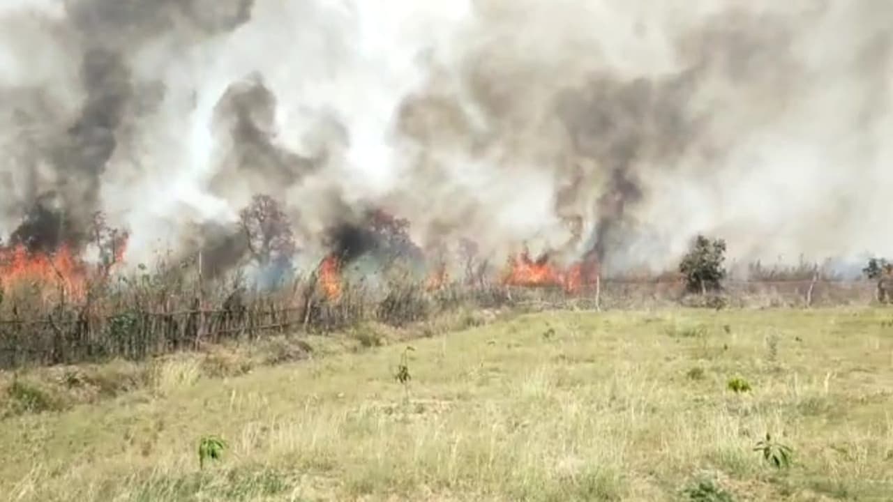 झारखंड के पलामू में आग लगने से अरहर की फसल जलकर राख, पीड़ित किसानों ने की मुआवजे की मांग