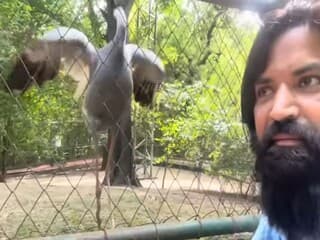 Arif Saras News: टिकट लेकर चिड़ियाघर में सारस से मिलने पहुंचा आरिफ, झूम उठा बेजुबान, वीडियो वायरल