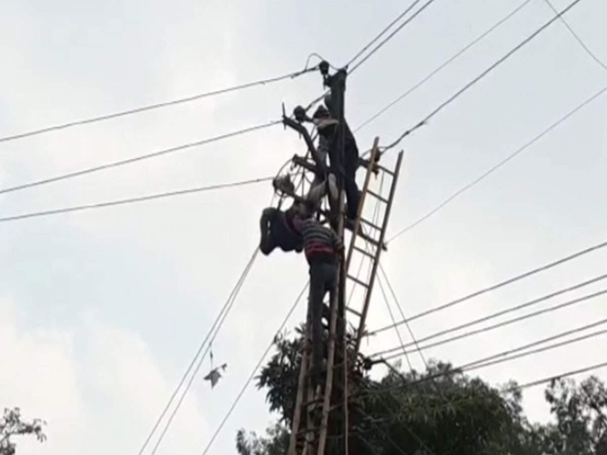 भागलपुर में तार जोड़ने में हुई देरी पर लोगों ने लाइनमैन की पिटाई की, विद्युत कर्मी ने इस तरह लिया बदला