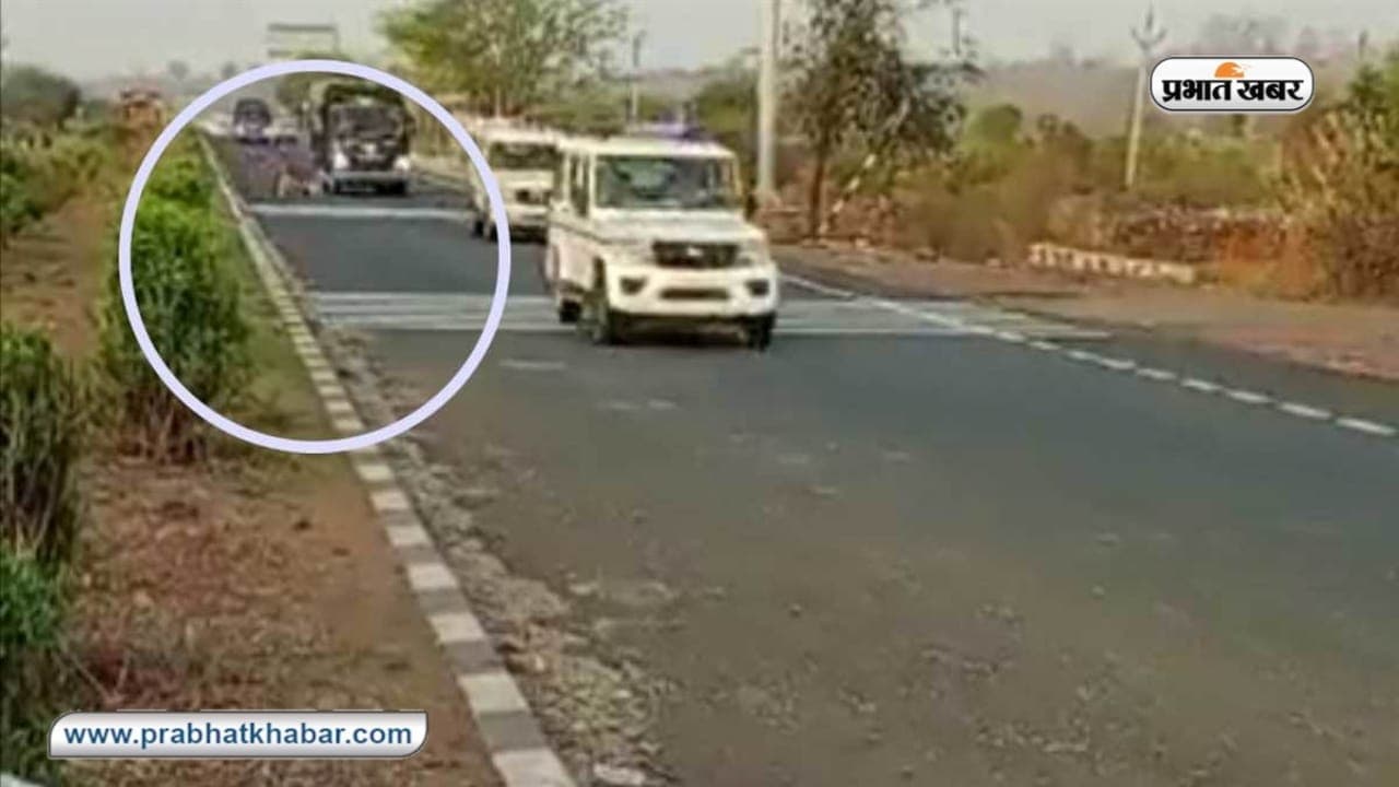 अतीक अहमद की गाड़ी हादसे का शिकार होने से बची, काफिले से टकराकर बेजुबान की मौत, सुब्रत पाठक ने कही ये बात...