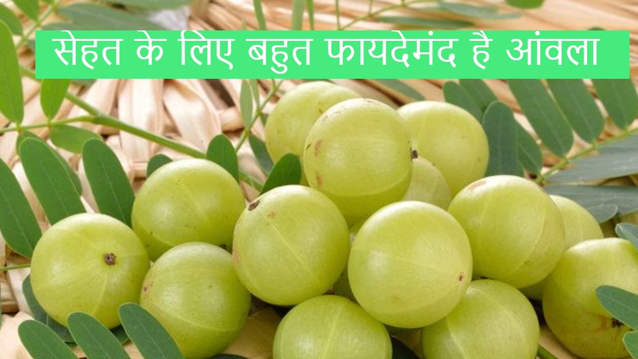 Amla : घर पर बनाएं आंवला पाउडर, जानें आंवला पाउडर बनाने का सबसे आसान तरीका