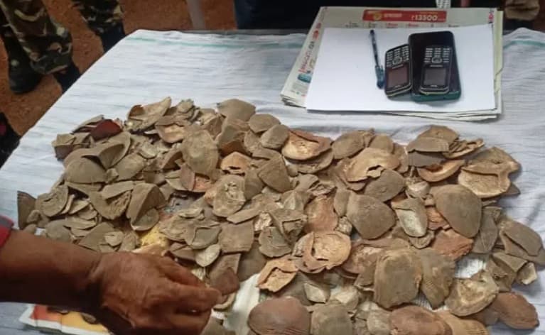 गया में एक करोड़ की पेंग्विंग की खाल के साथ दो तस्कर गिरफ्तार, एक तस्कर फरार