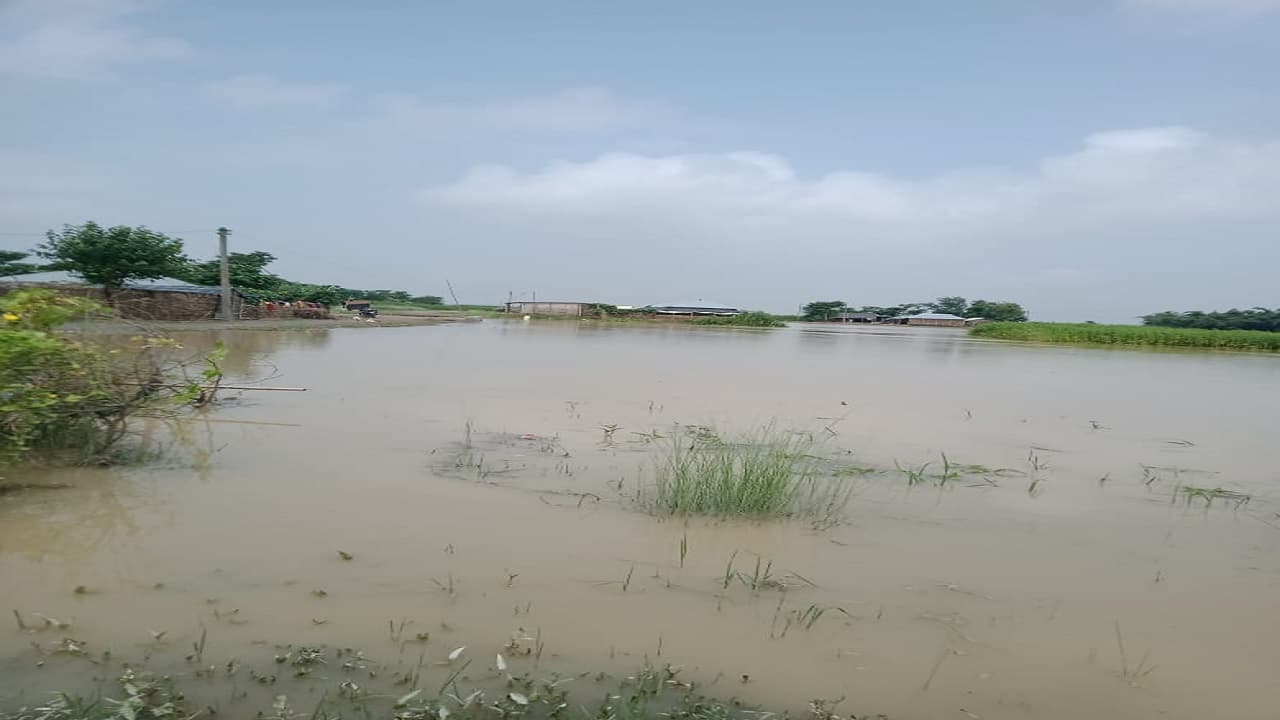 बिहार: मानसून लौटा तो गांवों में घुसने लगा बाढ़ का पानी, नेपाल में हुई बारिश से नदियों में उफान का हाल जानें..