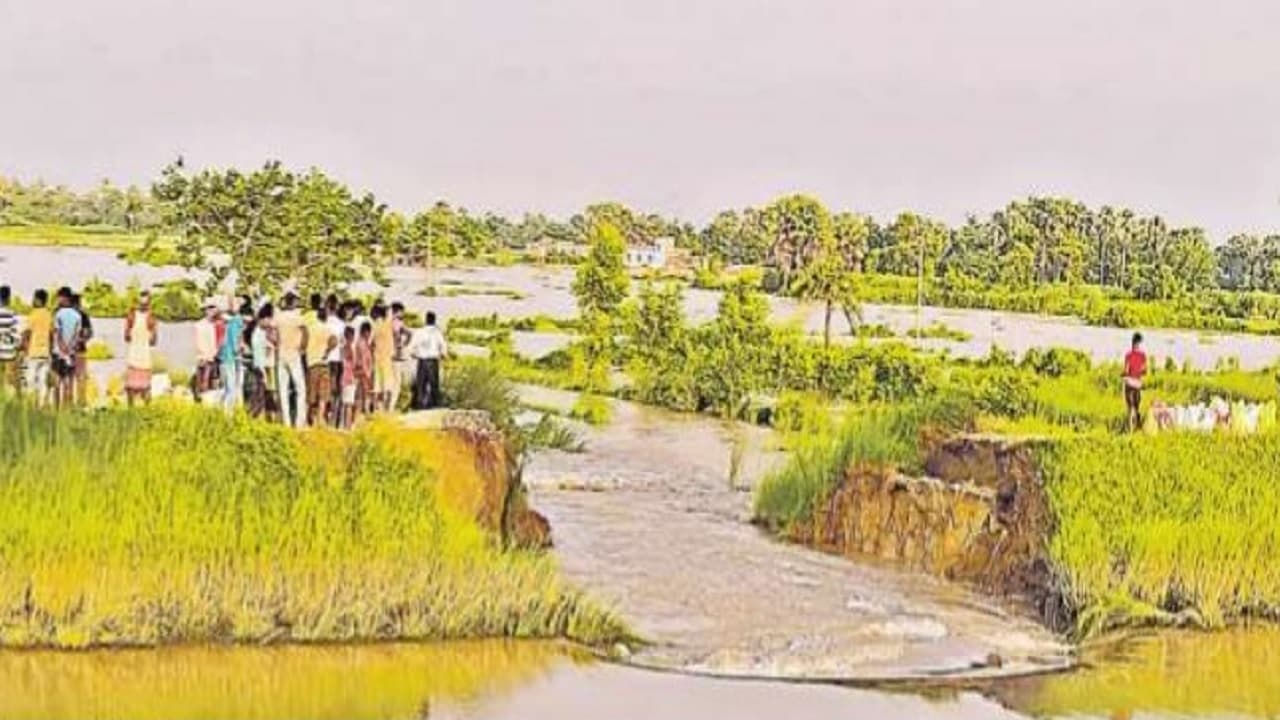 बिहार में गंगा, कोसी व गंडक समेत अन्य नदियों का जानें हाल, मुजफ्फरपुर में नहर का तटबंध टूटा...