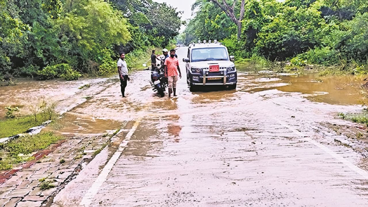 नेपाल में बारिश से नदियों में आया उफान, वाल्मीकि टाइगर रिजर्व के पास बढ़ेगा जानवरों का आतंक, जाने क्यों..