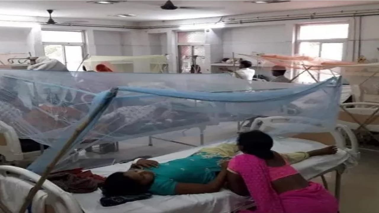 Dengue in Bihar: ठंड बढ़ने के बाद भी कम नहीं हुआ डेंगू का कहर, आइसीयू में एडमिट हुए दो मरीज