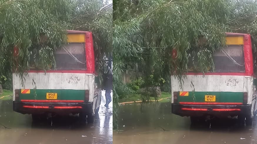 Bareilly News: बरेली में सड़क हादसों की भेंट चढ़ीं दो महिलाएं, रोडवेज बस पर पेड़ गिरने से कई यात्री घायल