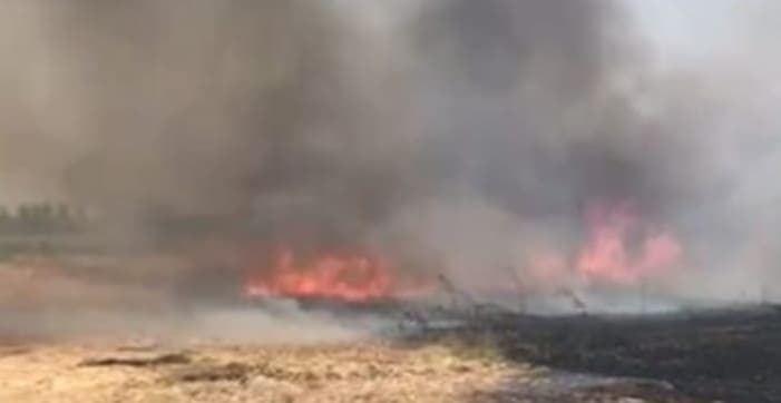 Bareilly: गेहूं की फसल के साथ जल गए किसानों के अरमान, 1 माचिस की तीली से 4 महीने की मेहनत 23 मिनट में राख