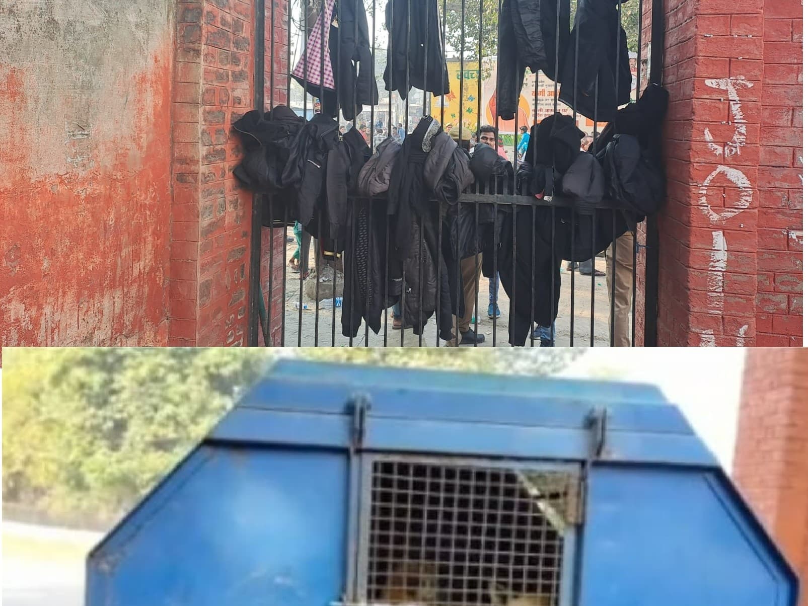 Bareilly News: सीएम योगी के कार्यक्रम में काले कपड़े वालों को नहीं मिली एंट्री, आवारा कुत्ते भी पकड़ लिए