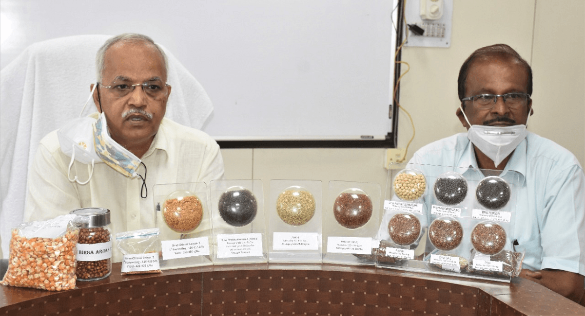 पीएम मोदी ने कृषि जगत को दी सौगात, झारखंड के बीएयू के वैज्ञानिकों ने भी विकसित की हैं फसलों की कई किस्में