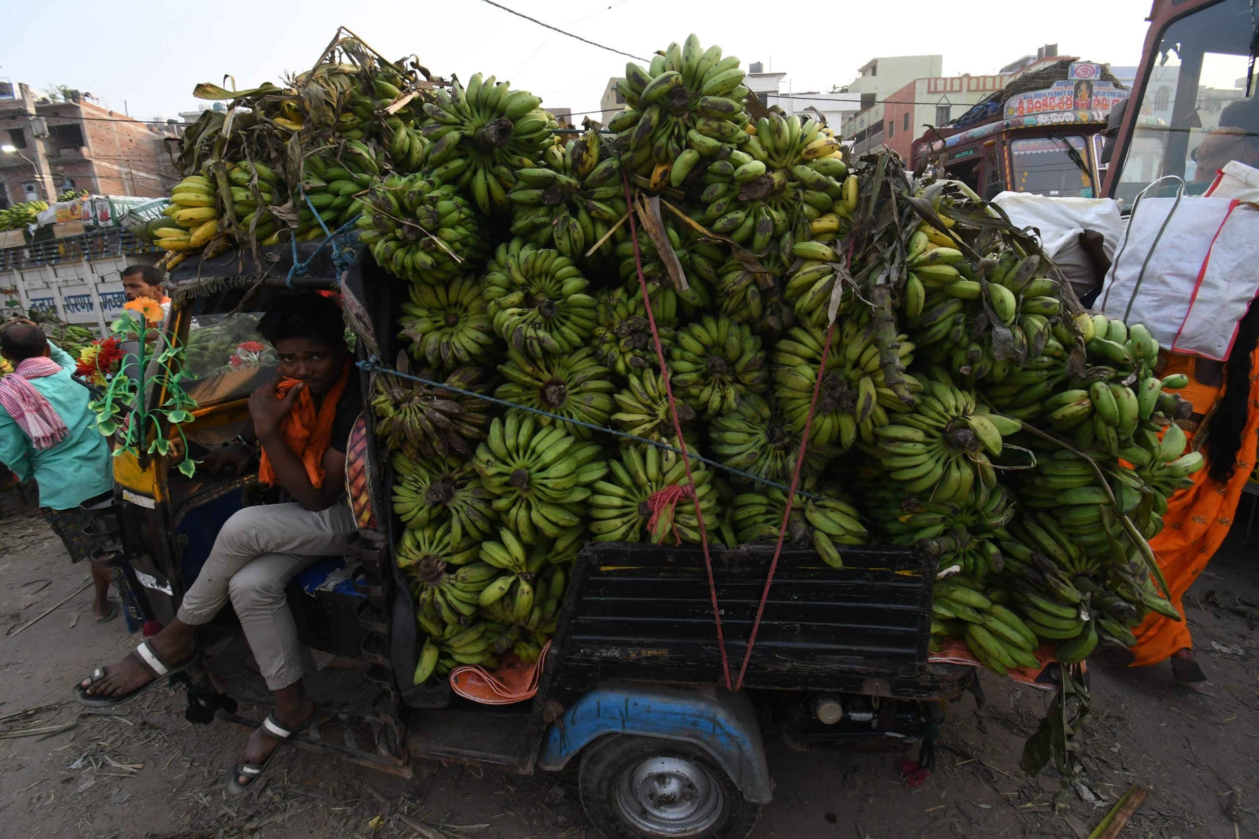 Chhath Puja 2022: पटना में सज गया फलों का बाजार, 15 से 20 फीसदी तक हुआ महंगा, जानें रेट