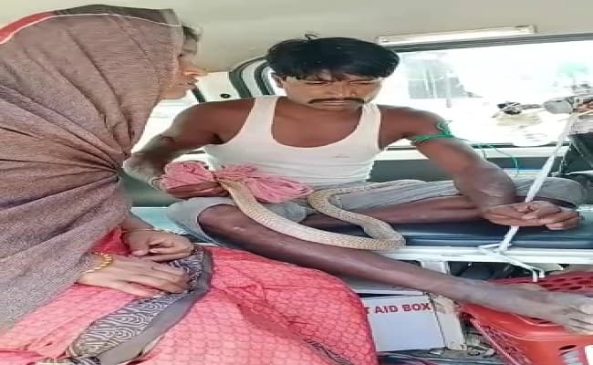 घर में जिस सांप ने काटा, उसी को हाथ में उठाकर इलाज कराने अस्पताल पहुंचा युवक