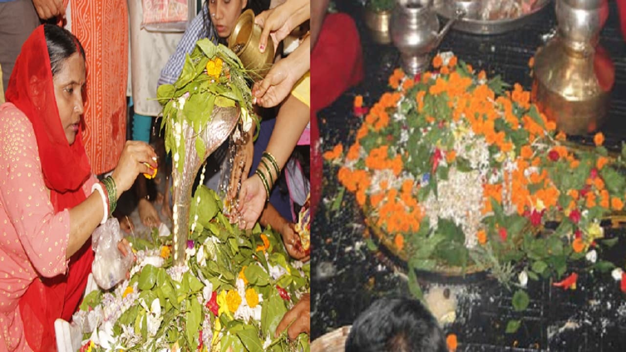 Bihar: सावन में भोलेनाथ पर चढ़ाए बेलपत्र व फूल से बन सकते हैं ऑर्गेनिक खाद व अगरबत्ती, जानें कैसे