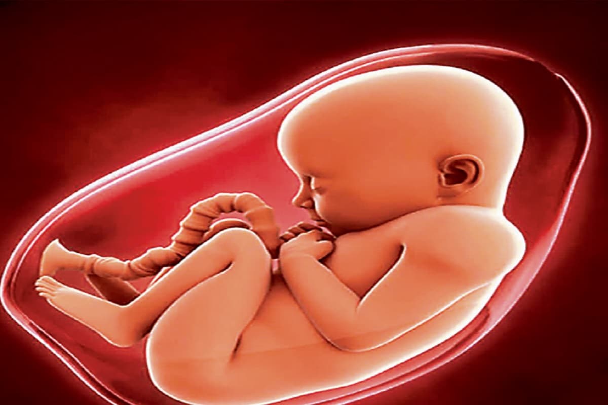 रांची में दुर्गा पूजा की तैयारी शुरू, रेलवे स्टेशन समिति का पंडाल इस बार देगा बेटी बचाओ-बेटी पढ़ाओ का संदेश