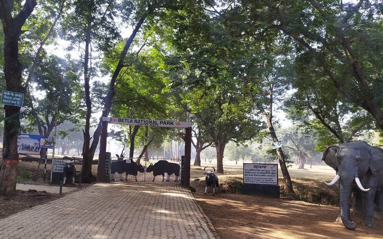 New Year 2023: नये साल के जश्न को लेकर सुरक्षा के पुख्ता इंतजाम, बेतला नेशनल पार्क में उमड़ रहे पर्यटक