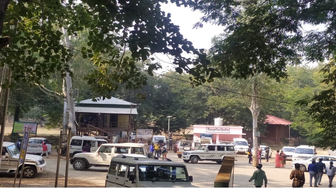 Jharkhand News: बेतला नेशनल पार्क पर्यटकों से एक बार फिर हुआ गुलजार, कारोबारियों के चेहरे पर लौटी मुस्कान