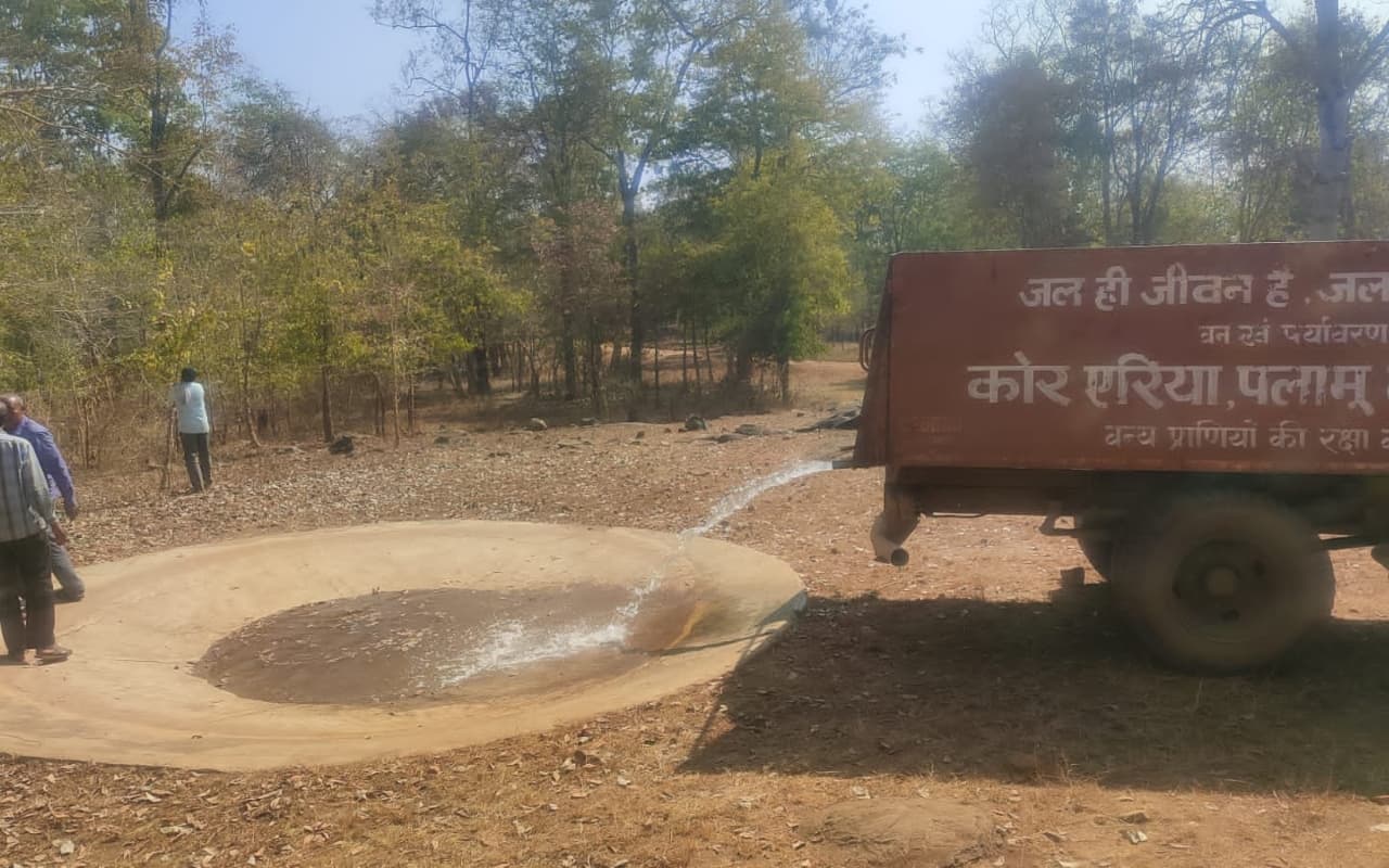 खबर का असर: बेतला नेशनल पार्क में जानवरों की पेयजल समस्या होने लगी दूर, टैंकर से शुरू हुई जलापूर्ति