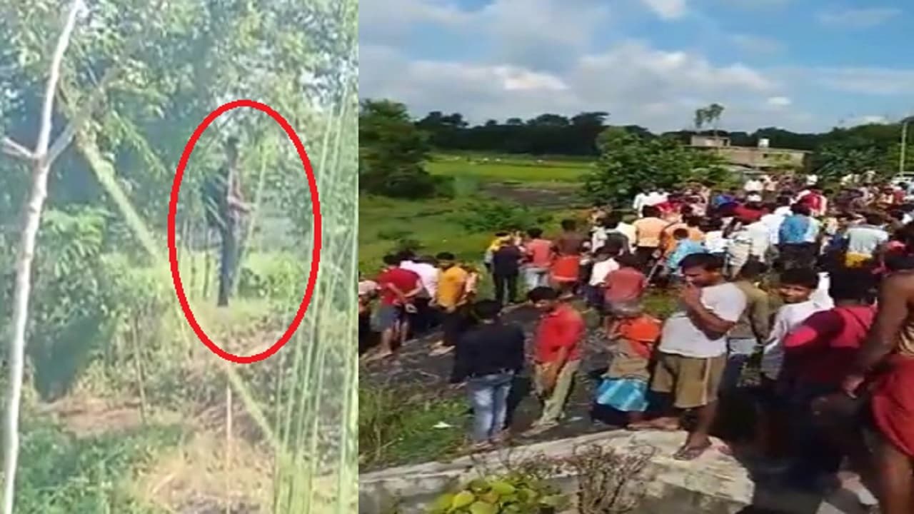 VIDEO: बिहार के बेतिया में किसने की ताबड़तोड़ फायरिंग? क्या दोहराया गया बेगूसराय कांड? जानें पूरी हकीकत