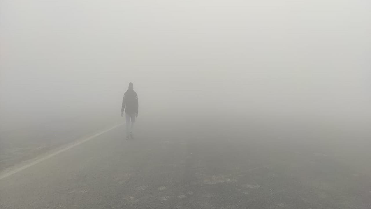 Bihar Weather: बिहार में कनकनी का दौर शुरू, न्यू ईयर का वेलकम करेगी शीतलहर, जानें मौसम अपडेट