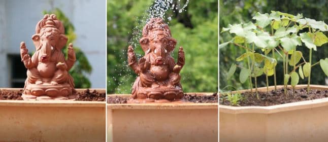 बीज से बनायी भगवान गणेश की इको-फ्रेंडली प्रतिमा, फायदे जानकर होगी बेहद खुशी
