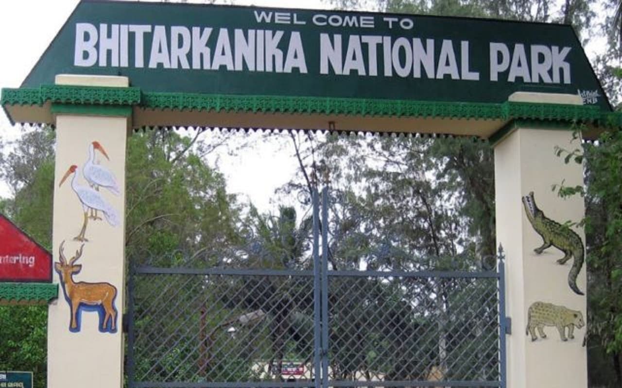 Bhitarkanika National Park: मानसून में प्रवासी जलीय पक्षी का केंद्र है यह उद्यान, जानें क्या कुछ है खास?