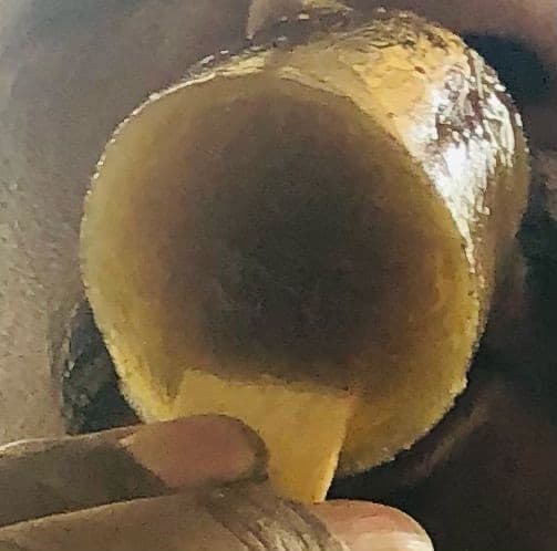 Varanasi News: पैसे के अभाव में छात्रा नहीं ले सकी एडमिशन, योग्यता से प्रभावित जज ने भरी फीस, दिए ये निर्देश