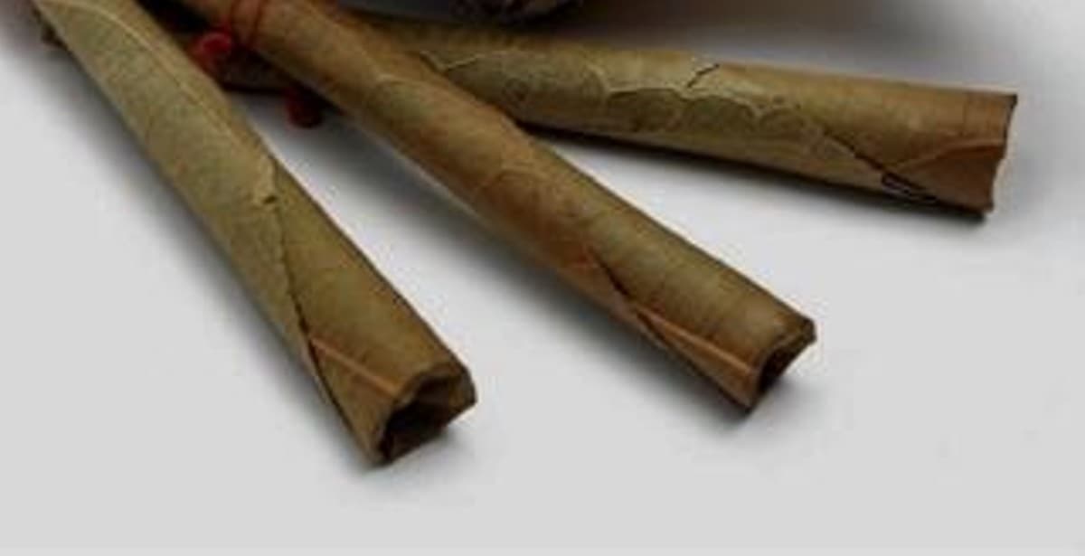 Haryana: नशा जो न कराए! लॉक खड़ी कार में रखी बीड़ी निकालने की कोशिश में शीशे तोड़ डाले,माना तभी जब बीड़ी दी गई