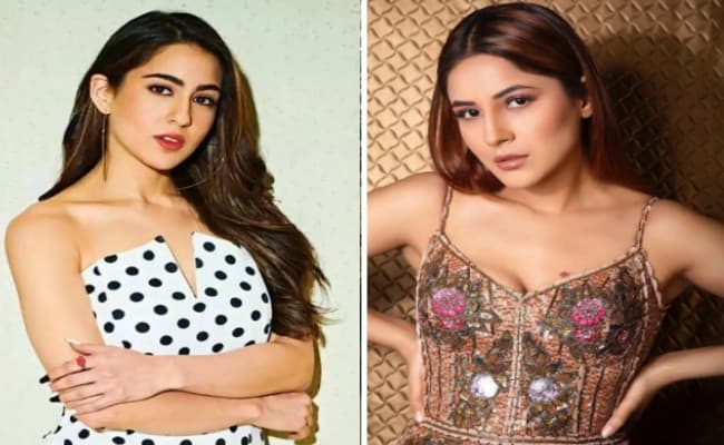 Sara Ali Khan से लेकर Shehnaaz Gill तक का ट्रांस्फॉर्म लुक भाया फैंस को, देखें स्टार्स के Fat To Fit लुक