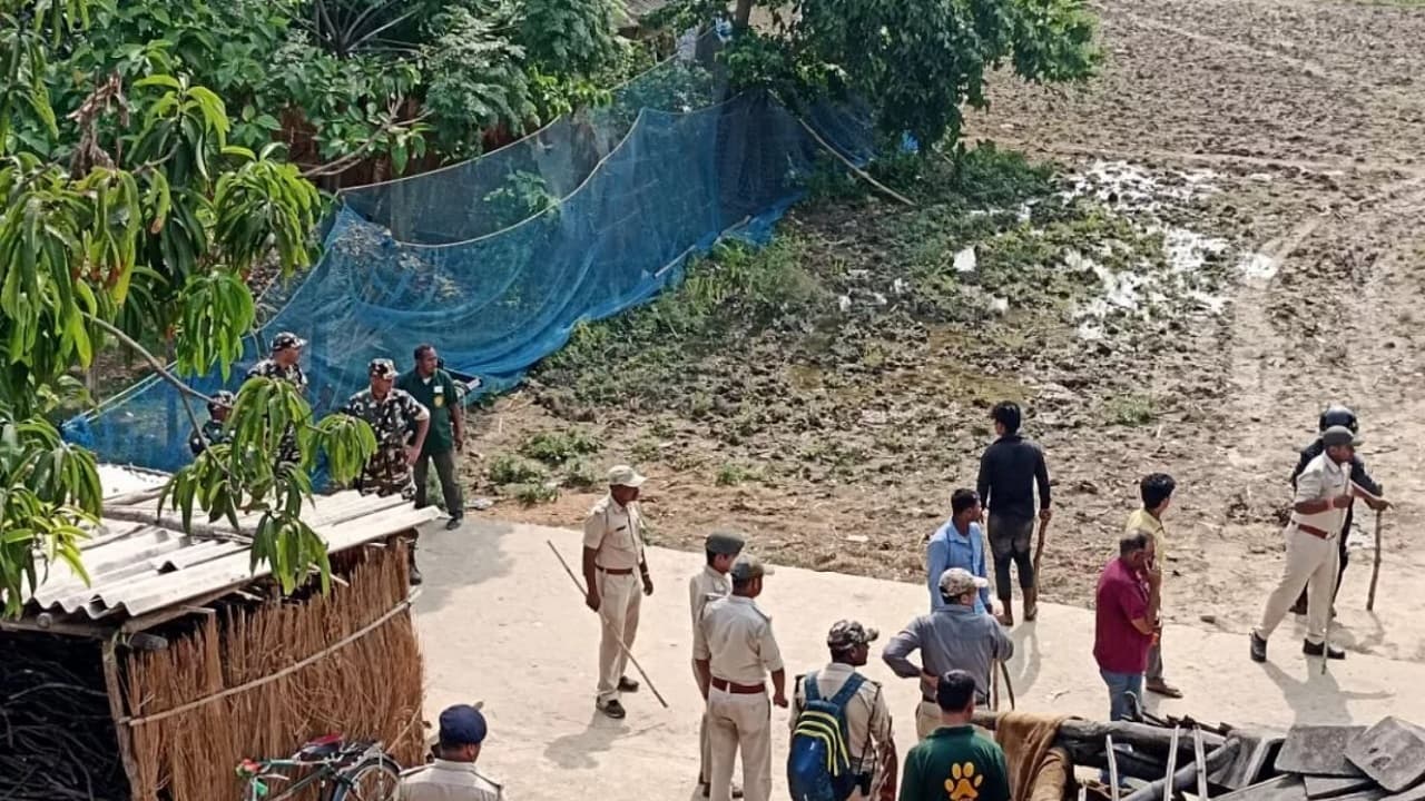 बिहार: VTR के जंगल से निकल बाघ ने महिला पर किया हमला, फिर घर में छिपा, वन विभाग की टीम पकड़कर ला रही पटना