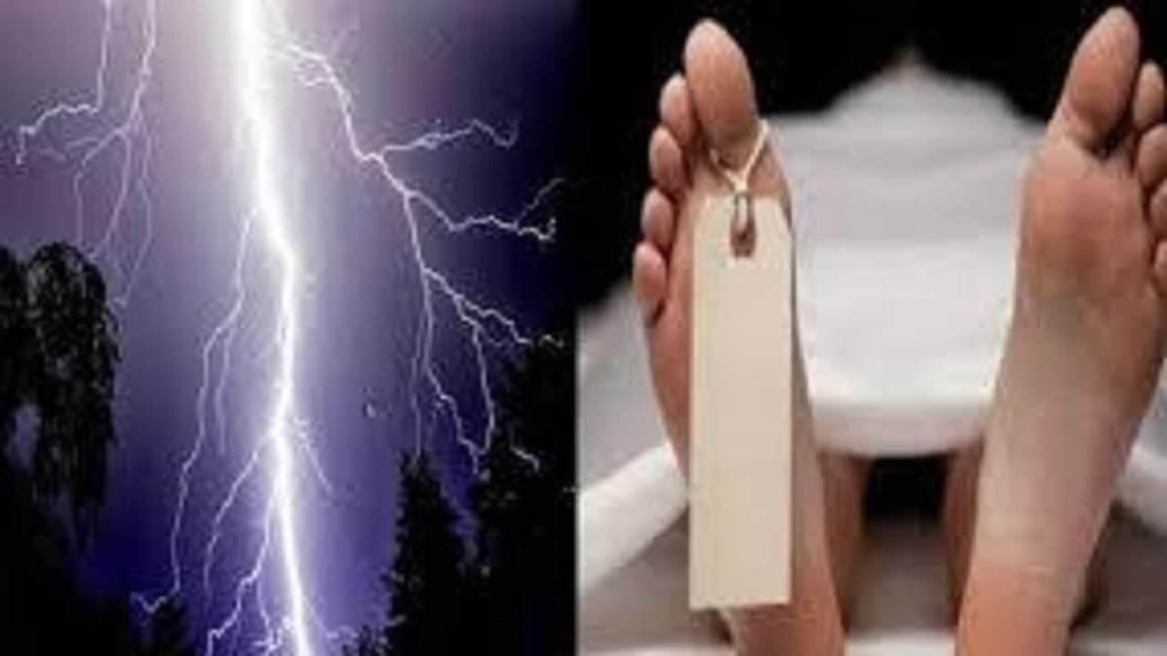 बिहार: बेतिया में झोपड़ी पर गिरा ठनका तो युवती की गयी जान, बांका में मवेशी चरा रहे पशुपालक की वज्रपात से मौत