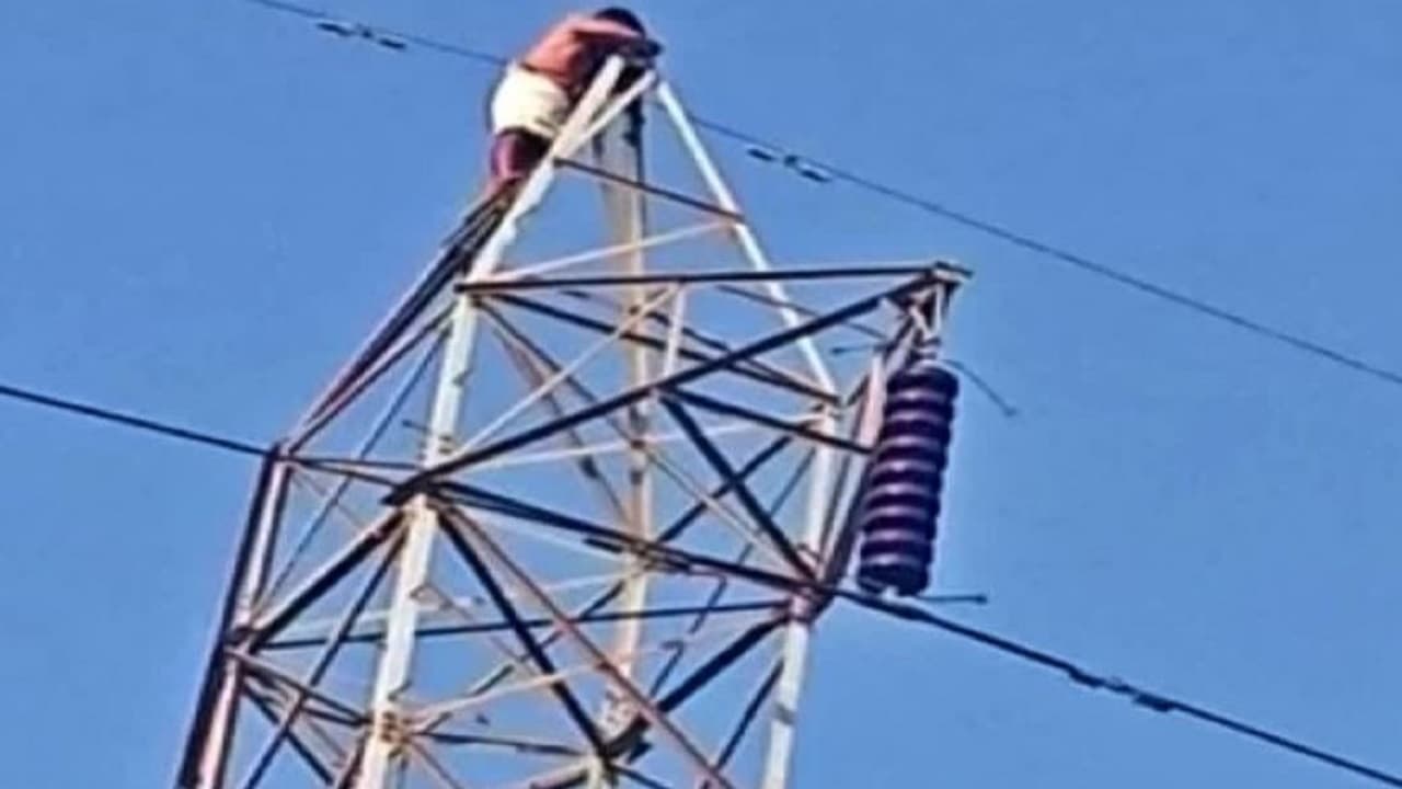 Sarkari Naukri : बिहार बिजली विभाग में 10वीं पास के लिए भर्ती, अंतिम तिथि आज