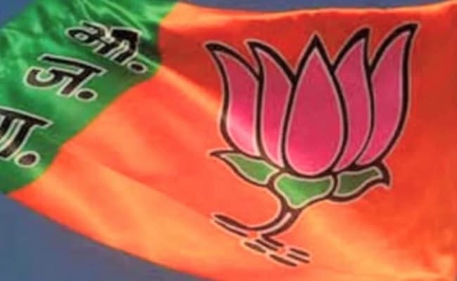भाजपा ने उत्तर प्रदेश राज्यसभा उपचुनाव के लिए जय प्रकाश निषाद को बनाया उम्मीदवार