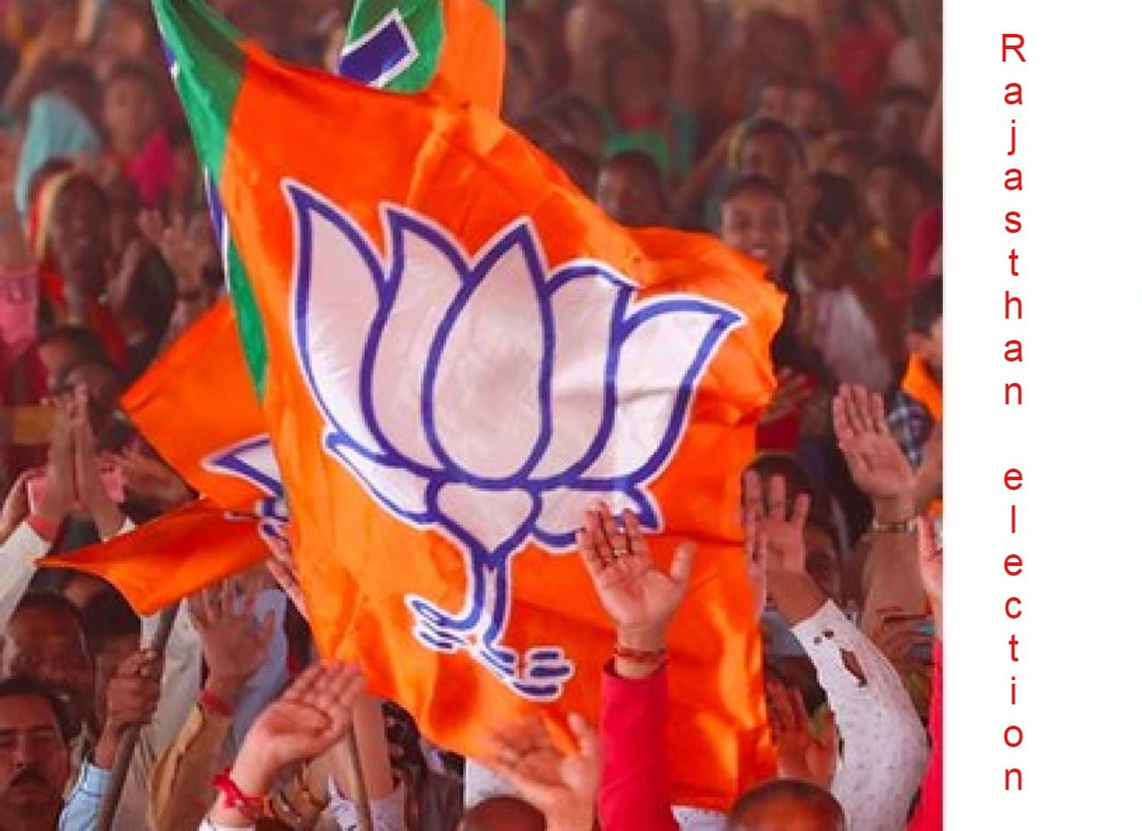 भाजपा चुनाव कार्यालय के पास तीन गायों का शव मिला, राजस्थान की राजनीति में चुनाव से पहले मचा हड़कंप