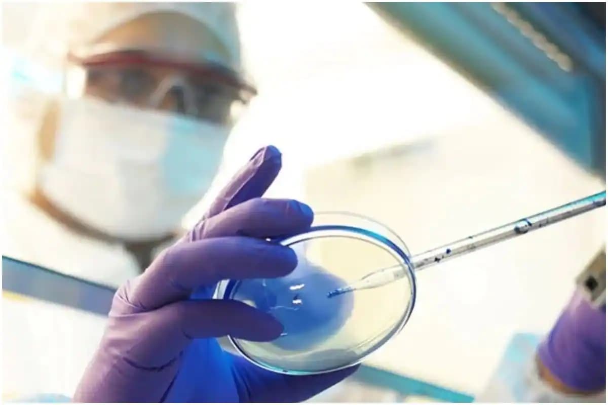 बिहार में डॉक्टरों की मौत के कारणों पर होगा रिसर्च, 20 सवालों से पता चलेगा 96 चिकित्सकों के जान गंवाने की वजह