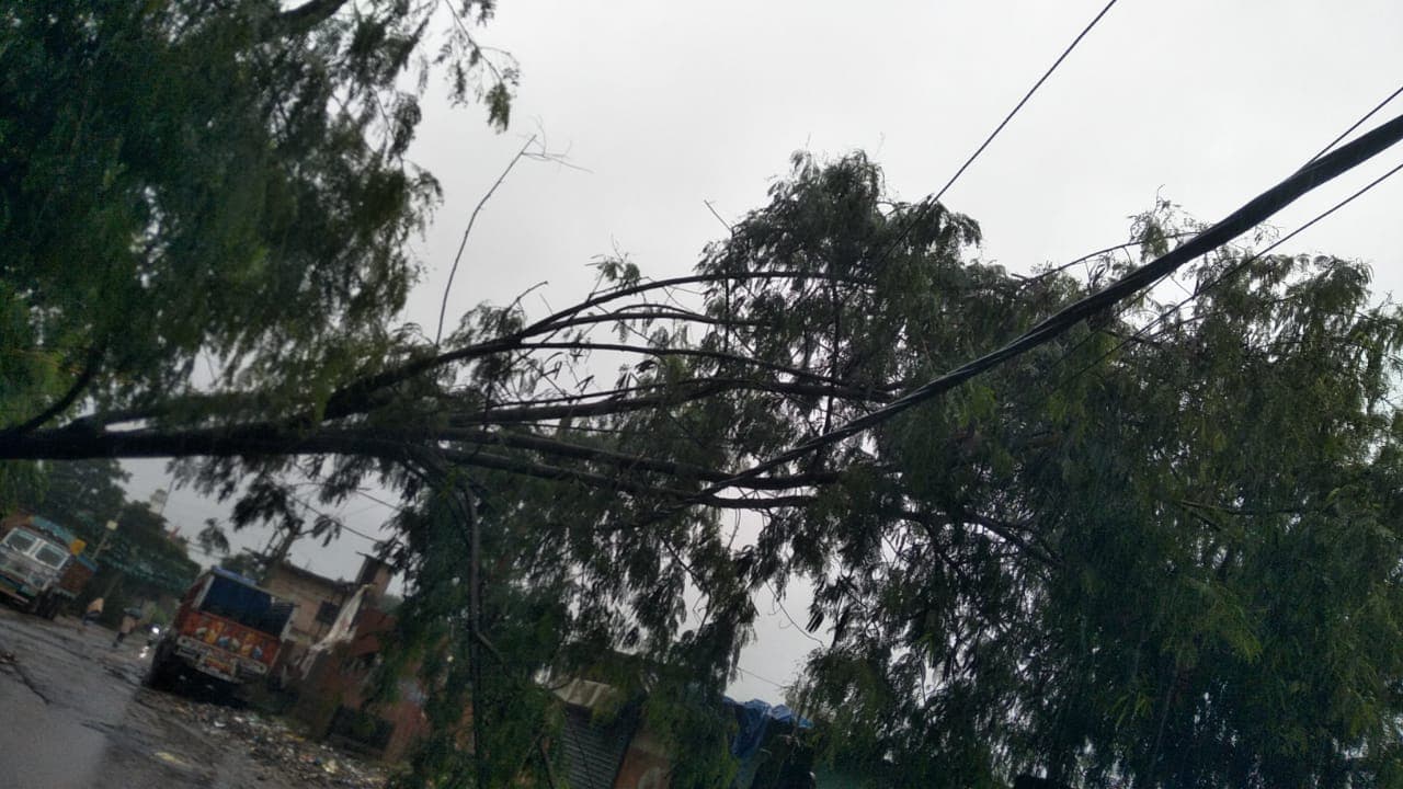 झारखंड में मूसलाधार बारिश से बिजली व्यवस्था बेपटरी, हजारीबाग में 48 घंटे से ब्लैकआउट झारखंड में मूसलाधार बारिश से बिजली व्यवस्था बेपटरी, हजारीबाग में 48 घंटे से ब्लैकआउट