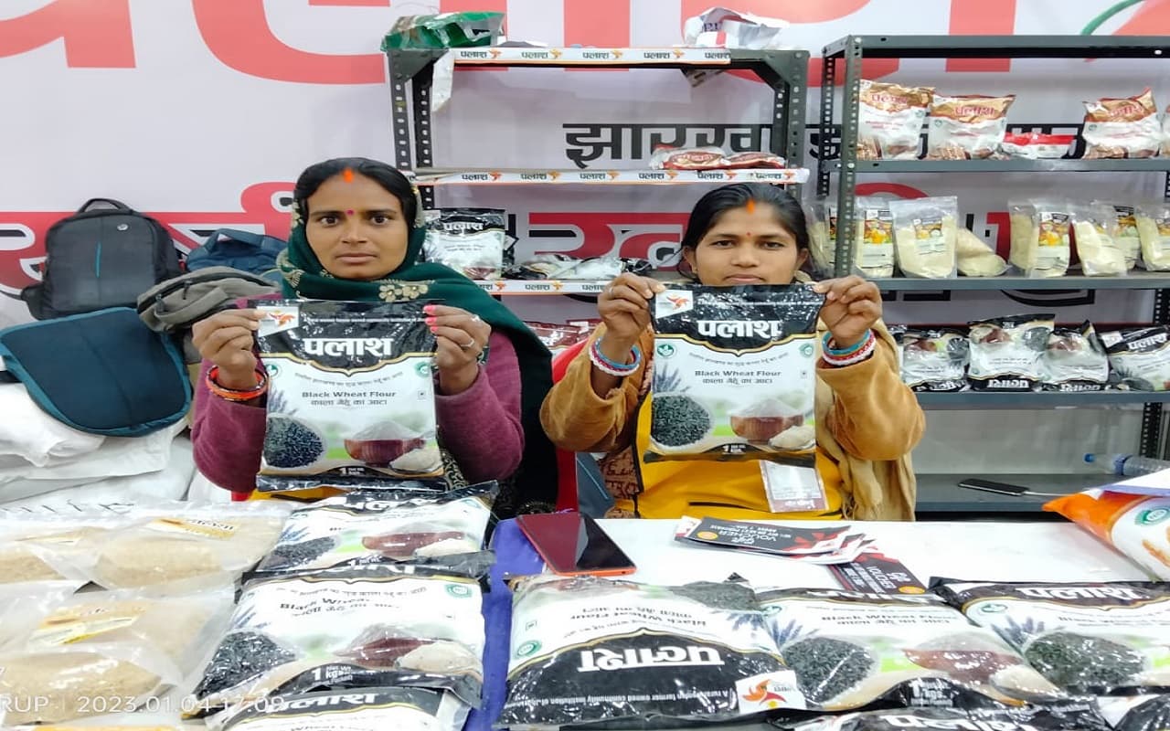 EXCLUSIVE: झारखंड में सखी मंडल की दीदियां कर रहीं काले गेहूं की खेती, गंभीर बीमारियों में है ये रामबाण ?