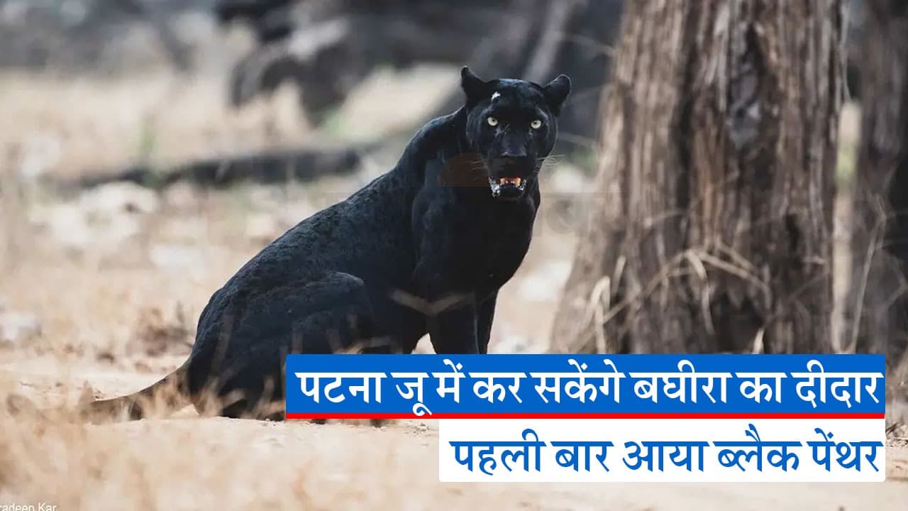 VTR से कैमूर तक साइकिल से यात्रा करेंगे मंत्री तेजप्रताप यादव, कहा- बच्चों को मुफ्त में ले जाएंगे राजगीर सफारी