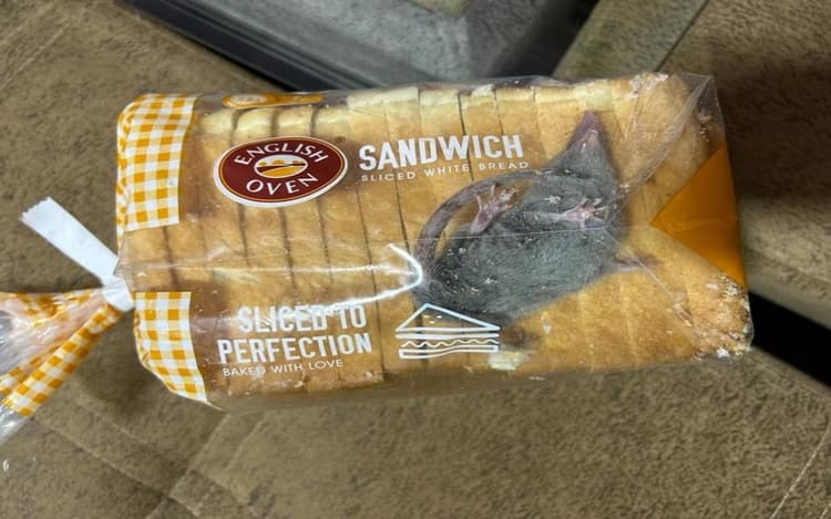 Blinkit से मंगायी ब्रेड, पैकेट में निकला जिंदा चूहा, फोटो हुई वायरल तो कंपनी ने दिया ऐसा जवाब