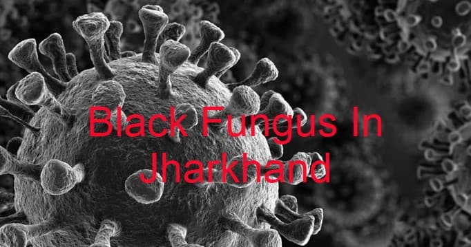 झारखंड में दो और ब्लैक फंगस संक्रमितों की मौत, मौत का आंकड़ा हुआ 29, जानें ताजा  हालात