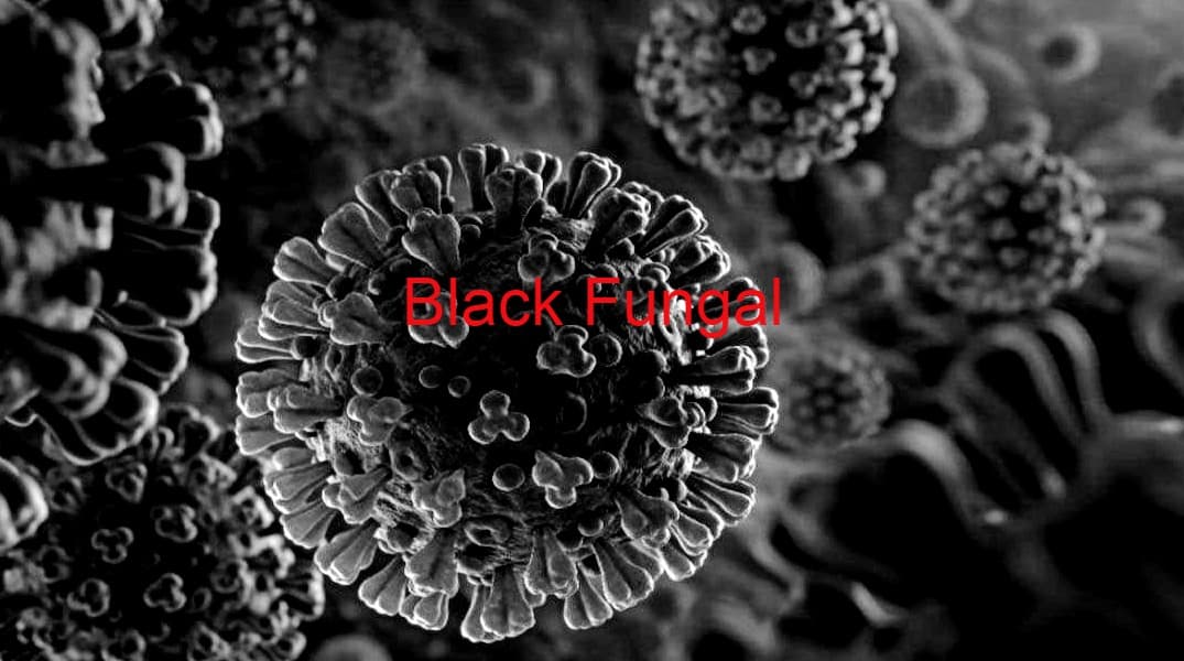 अस्पताल का चक्कर लगाते ब्लैक फंगस पीड़ित की मौत, परिजनों ने लगाया गंभीर आरोप