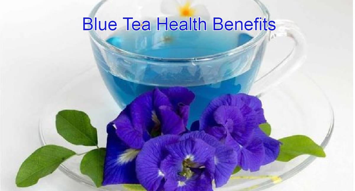 Blue Tea Health Benefits: ब्लू टी क्या है? ब्लू टी पीने से होने वाले सेहत संबंधी फायदों के बारे में जानें