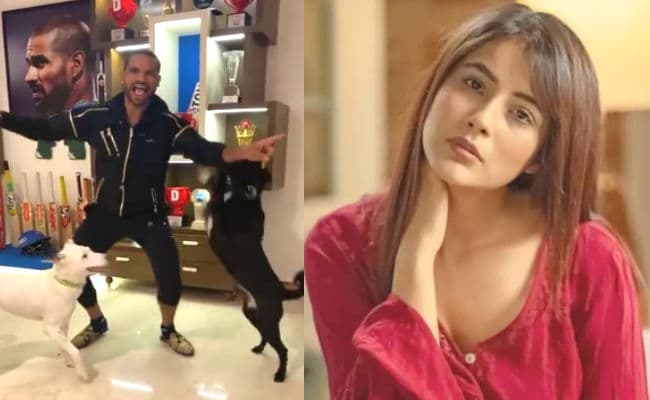 शहनाज गिल के 'त्वाडा कुत्ता टॉमी...' पर शिखर धवन ने बनाया शानदार VIDEO, बिग बॉस एक्ट्रेस ने दिया ऐसा रिएक्शन