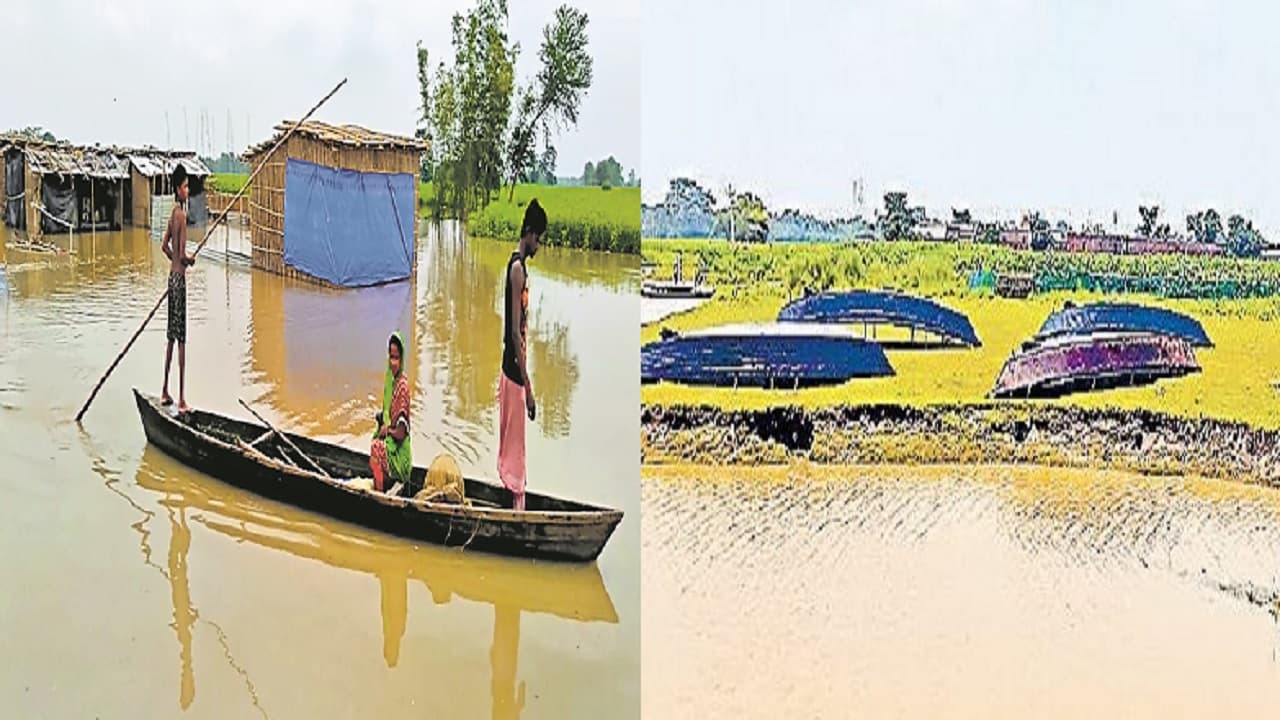 बिहार का एक इलाका ऐसा भी, जहां हर घर में लोग रखते हैं अपना नाव, आवागमन का बनता है जरिया, जानें वजह