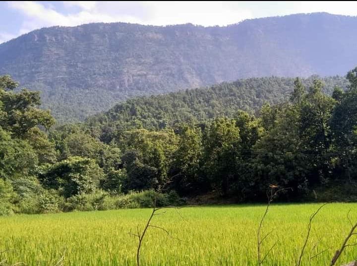 Jharkhand Naxal News : झारखंड के बोकारो के लुगू पहाड़ इलाके में पुलिस-नक्सली मुठभेड़, सीआरपीएफ के दो जवान घायल